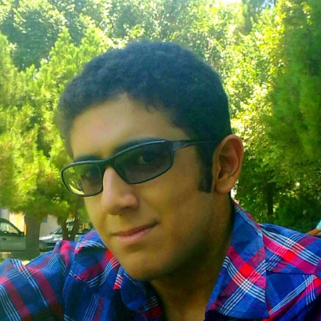 علی محمدی.